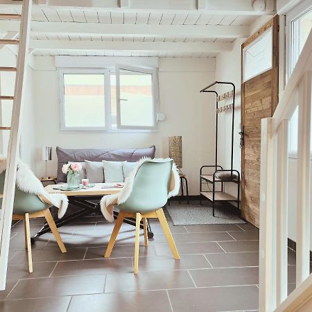 Loft Mandallaz - Au Coeur De La Ville Annecy Exterior foto